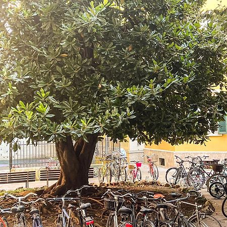Divini Gae Aulenti Lägenhet Milano Exteriör bild